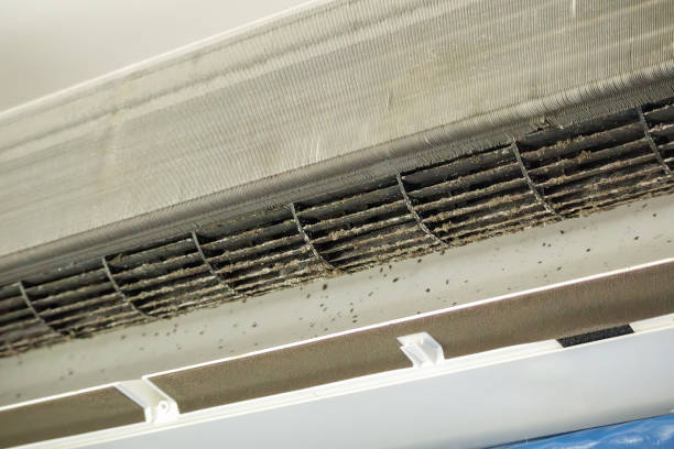 Best Residential Air Duct Cleaning  in Exander City, AL