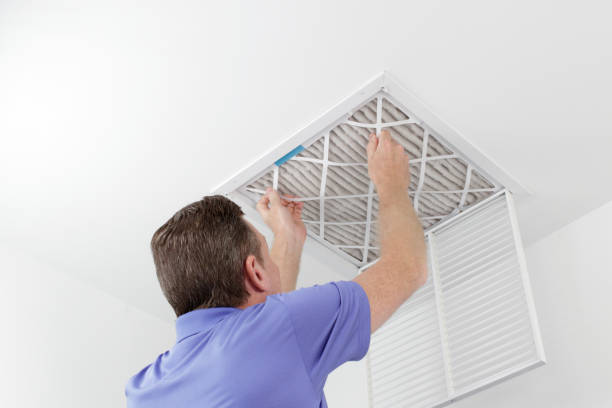 Best Professional Duct Cleaning Services  in Exander City, AL